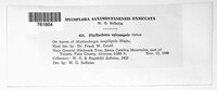 Image Associated With the Occurence